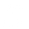 theplaydenza